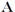 Alpha
